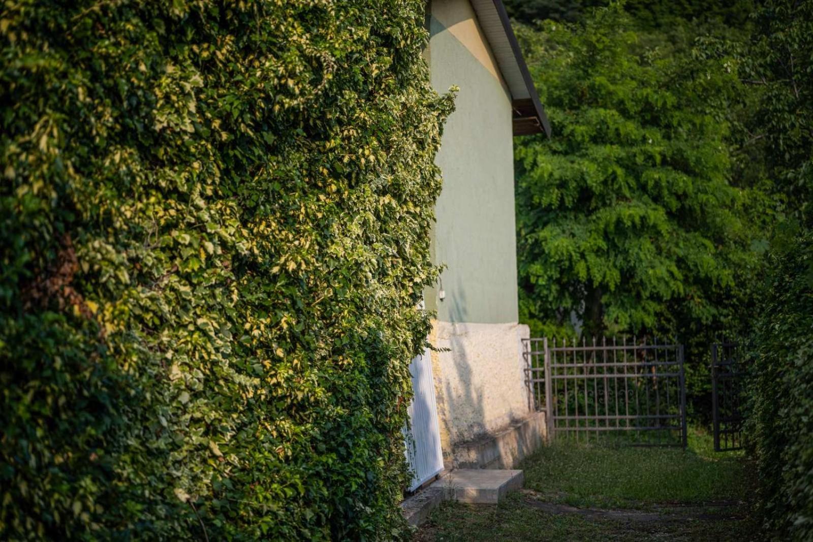 Vacation Home Rot Ohrid Buitenkant foto